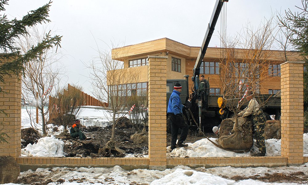 Посадка крупномеров в Антоновке